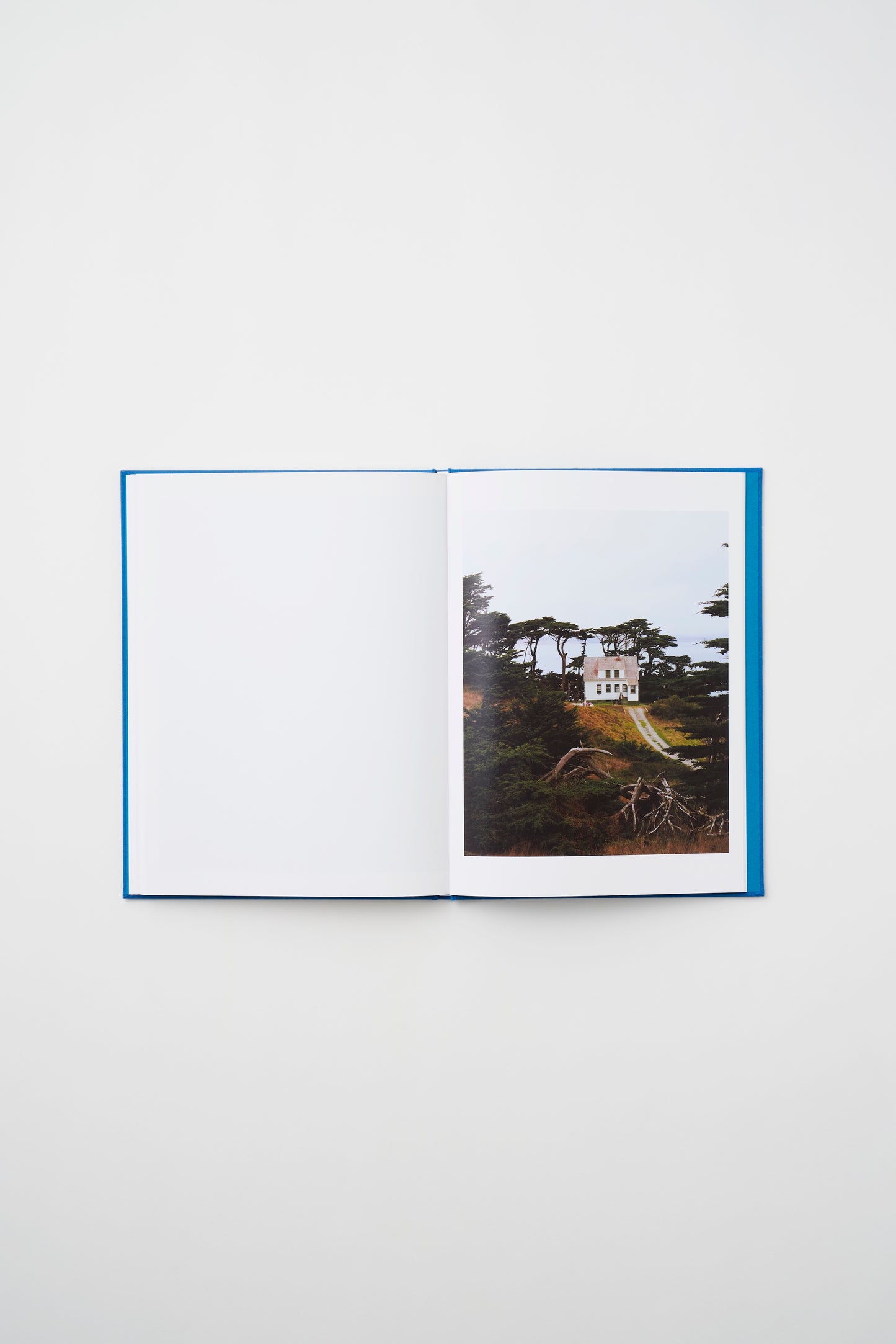 ALBUM by Shingo Goya