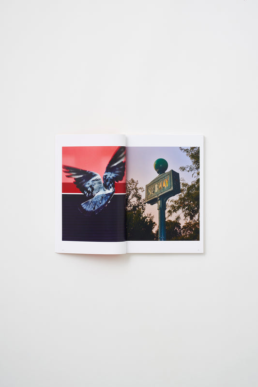 NEW/YORK by Masahiro Takai